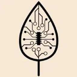 Coin image for Ds2aiPgmurJQY5vg565yhmhefTN2Do4ZCRHHwToCpump