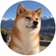 Coin image for DsCdXTA7F39VYyaCgtpz6gVgQaTvB5VFXH41grPNpump