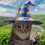 Coin image for DsQueBpkRhUfFGBSTA9nrTPwXFoLxzQK65z2ckZWFTqp