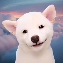 Coin image for DtWat3UYNU9MeAw3DqZBAcngciFDX6Qh6QmnRNmTpump