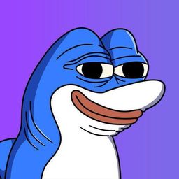 Coin image for DuCDWuAmFBfU8GDNFBaUZLqtWuyWPCApamTaw7j2pump