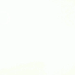 Coin image for DuDTsPHte9AyTuwuYEAcn4gGmevjmRmTyVTHj6NMyMeS