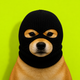 Coin image for DuDge6jQN7E3x62sK87kKFV8RGL9EMzPJ36b17ytpump