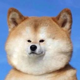 Coin image for DuZGBvJVLXFhDEub3xeJnsVf298DdoCDNWrhYV8Rpump