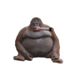 Coin image for DvkdSp664CoQ6oRYFtCDdvPyStkKvtkWwmYLfhvNpump