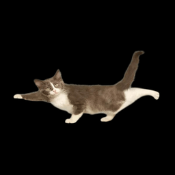Coin image for DwchACHwvTMN2sdPNASdqc7ChKUERsLj5JMbsWgdpump