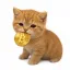 Coin image for DyVST1oHTmCDTpK3zboQ9tsXU4daE9o2q1FXCvFoGzuZ