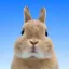 Coin image for DypCJ3C7t8q3ZeBXGQZ2aXPeVhSmYbshTU5d5zDbpump