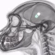 Coin image for Dypgv2WJ2jCEiHsQk5PGcgAyLhEekqZ21RmaxbuPpump