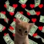 Coin image for DzAaJqZmcSYhq6EXTrGAfdp8LJ5GqMxXMGnthFKjpump