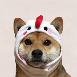 Coin image for E3Cogw2AMvawciEomteVshucUBXUYo7fmiAdbKvXpump