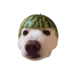 Coin image for E6UMS8uNnMbppFVhnoWs7CZHrxXJrYuXJMrgWKyfpump