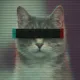 Coin image for E7Z8LBN3sHpXynqfTycC6LxQoMigJZPUYbNHybARRbsx