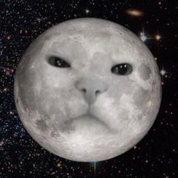 Coin image for EACUrWWhZH2hrcKFhE8dE7o7HEMYPqZdcovPkdigpump