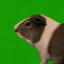 Coin image for EANf8cRnUDVjDPAP6HfhBvUBjiKuZRKbt5JoTXZdr7LY