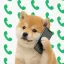 Coin image for EAttVWojuxUkpmxWH1zDFDbuY6h4LBJZB4wtHgPgJfWf