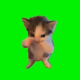 Coin image for EBKPekNusjfKt3Dmpuu2in8KC3pJVXYJYP8ESRi8pump