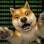 Coin image for EBkmYHDZxSyyodbh4D9oSxmtLv8LqpwtPdjCEpJepump