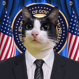Coin image for EBukLQFfqJdv4b2yggNMJWfPxL4Ne7QeLiLCSaJLpump