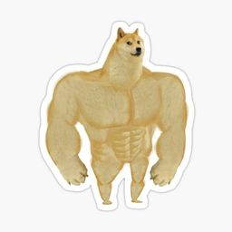 Coin image for EBupnGb8E3JzzBuuQJ4yBTLL1sDLXGwJBEDkMQp4pump