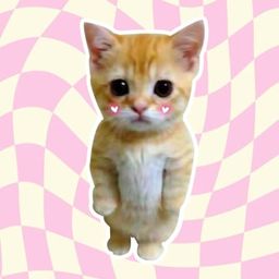 Coin image for EDPuftuQeNrxcghpJVoZJbBxnuSg6XZjAKrtYMJEXGEq