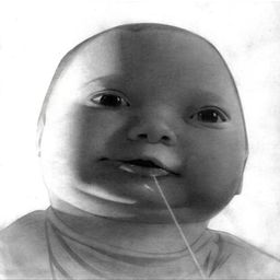 Coin image for EDZDBbtGoLTwZcJLuX2HeNthsXTtxLunQRdsENSgpump