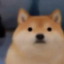 Coin image for EDZmRSxPHGZRzjvfH1jaLEeaf7NUsDsdHBwUYxvbpump