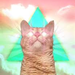 Coin image for EDcNEK4daUzDzhdxLiritLVMLz9LBwtcjCPDQriLpump