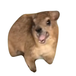 Coin image for EDhgLnPpRhErGG5d1gHFcYQChFiykpH8Z2ryvWokpump