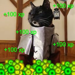 Coin image for EDjCsm4b46aogjfjge5QnQm6pHfoNFJfvbBMThb2pump