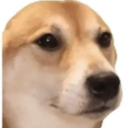 Coin image for EEXmVtmYPwhpYXWvJSz1TEsji3BzWHFqQFCsgqBfpump