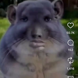 Coin image for EEdPKrvZkRppUhLAsfmtSWRzQDPumWfFEd22UtKCpump