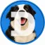 Coin image for EFPaJofwfS2ohxkwLq4x8T36s1U948n5H8vxHAjspump