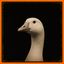 Coin image for EGCE75abRTCdxiSgXJrAFk8DzDmEne8EoDXJBstXpump