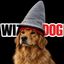 Coin image for EGRjRgooYMjV9k9g8nUmN8KEd8zexQk7M7cdm4PGpump