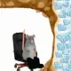 Coin image for EGssCiscX9MKTGFkizRJzj4wZGey4opsGfuPxHpWpump
