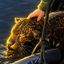Coin image for EJGqiUZieK6gKV43K2Msx44m3REMBKW9wCeEQN6kpump