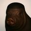 Coin image for EKANgQZq3dCYJYL9NpoY6TQhiMzcxJgVTfQSkrYcpump