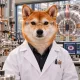 Coin image for EKZbzJ2aK7d23qUGB86B3upm8xKUzMvc7h2Rf6Z2pump