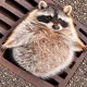 Coin image for EL4GVoR9zBzrKpC4Gnzg5xtgadidijuVoVJooQHYpump