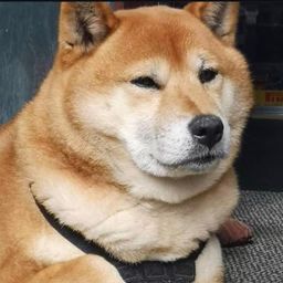 Coin image for ELzQKJFGALL3bkzFmPbVpNMScbbqDNWEw1MSHQTTpump