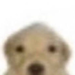 Coin image for EMGNrqgRMdAdxsa5xApv4LAHjBWD2eRBKuAUZewDpump