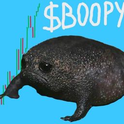 Coin image for ENFDpdDdJECss6THbvSBn15EhKVecoxM7RFURdKtpump