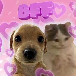 Coin image for ENUe7tNkLcoYtbjsEjrwPLVEXr8KBwf8PrqCmPsUpump