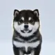 Coin image for ENd8wdcKcjPFzCfhf1S1NtcnEP44m8XcTbuHNL5pump