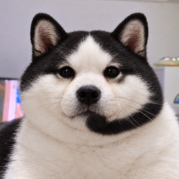 Coin image for EP1gV8y9Wu5niYc7tRMhPyeBVL6XSayGWANJLDiKpump
