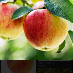 Coin image for EPB8bj2vhUjN2Ceu1rL3CC7FeabDw3j2GU2ohLe9pump