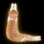 Coin image for EQMKr5mrUxqPzCjB1s3fxy3C9KcpiVLE2sTKzanTpump
