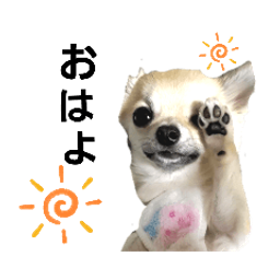 Coin image for EQQkMs9yWoJp5RHMvwTH1GutBFHbTm2ADNrN9bBKpump
