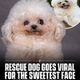 Coin image for EQXAPm4Wp5qB24FNuu8JsB5yiMwuvAxtsj9Mfaq1pump